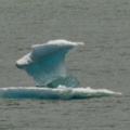 315-9415 Iceberg